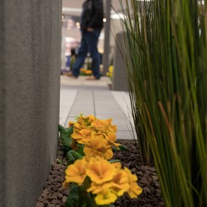 BAUExpo 2017, Messeimpression